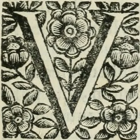 An illustration from Marmor Pisanum de honore bisellii : parergon inseritur de veterum sellis, synopsis appenditur de re donatica antiquorum, quam breui spondet, 1666, leaf 12