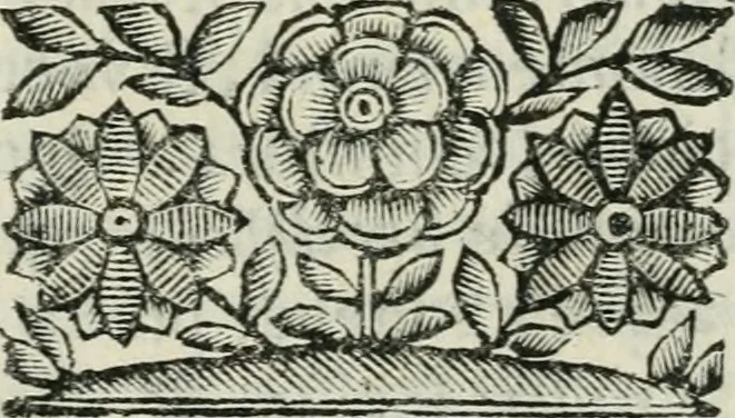 An illustration from Marmor Pisanum de honore bisellii : parergon inseritur de veterum sellis, synopsis appenditur de re donatica antiquorum, quam breui spondet, 1666, leaf 148