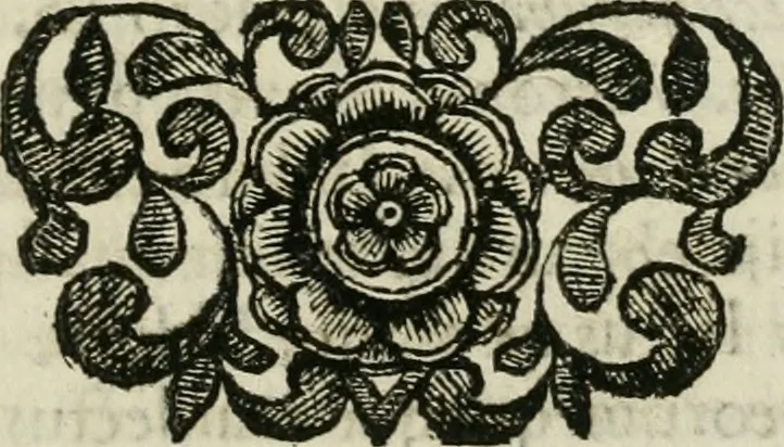 An illustration from Marmor Pisanum de honore bisellii : parergon inseritur de veterum sellis, synopsis appenditur de re donatica antiquorum, quam breui spondet, 1666, leaf 156