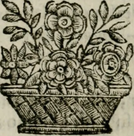 An illustration from Marmor Pisanum de honore bisellii : parergon inseritur de veterum sellis, synopsis appenditur de re donatica antiquorum, quam breui spondet, 1666, leaf 163