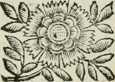An illustration from Marmor Pisanum de honore bisellii : parergon inseritur de veterum sellis, synopsis appenditur de re donatica antiquorum, quam breui spondet, 1666, leaf 244