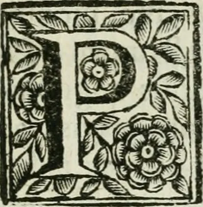 An illustration from Marmor Pisanum de honore bisellii : parergon inseritur de veterum sellis, synopsis appenditur de re donatica antiquorum, quam breui spondet, 1666, leaf 282