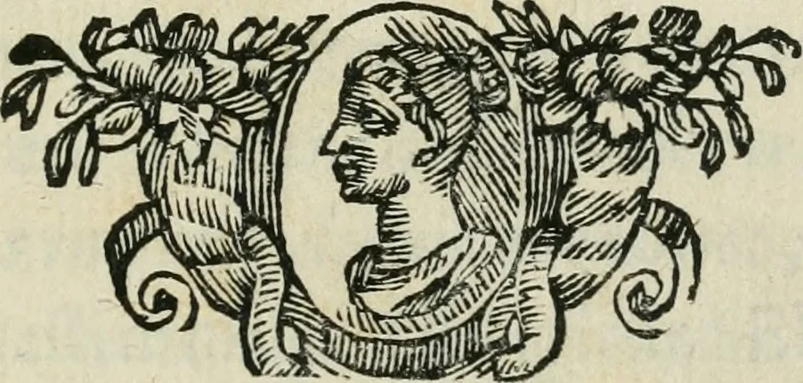 An illustration from Marmor Pisanum de honore bisellii : parergon inseritur de veterum sellis, synopsis appenditur de re donatica antiquorum, quam breui spondet, 1666, leaf 6