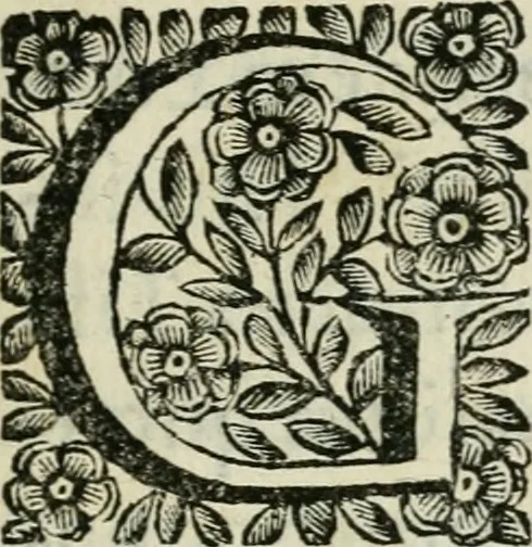 An illustration from Marmor Pisanum de honore bisellii : parergon inseritur de veterum sellis, synopsis appenditur de re donatica antiquorum, quam breui spondet, 1666, leaf 8