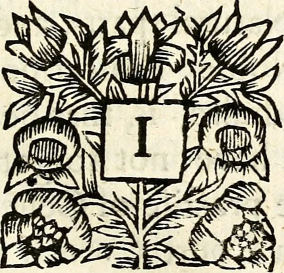 An illustration from Marriage a-la-mode. A comedy. As it is acted at the Theatre-Royal. Written by John Dryden, servant to His Majesty, 1673, leaf 8
