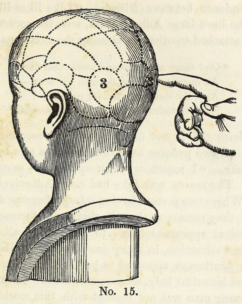 An illustration from Marriage : its history and ceremonies : with a phrenological and physiological exposition of the functions and qualifications for happy marriages, 1847, leaf 113