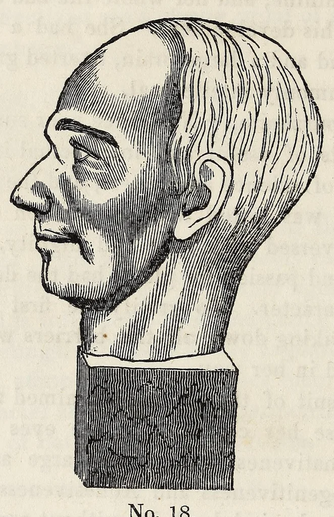 An illustration from Marriage : its history and ceremonies : with a phrenological and physiological exposition of the functions and qualifications for happy marriages, 1847, leaf 120