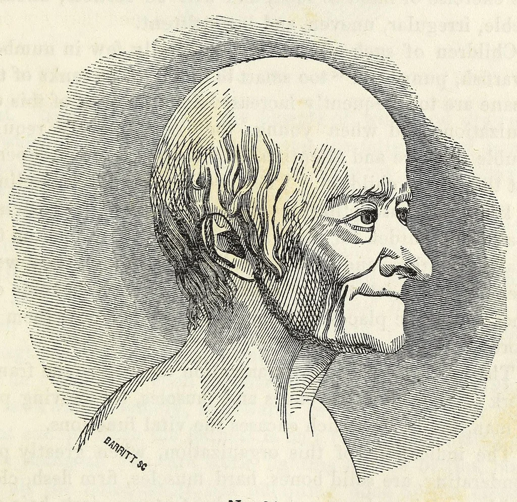 An illustration from Marriage : its history and ceremonies : with a phrenological and physiological exposition of the functions and qualifications for happy marriages, 1847, leaf 191