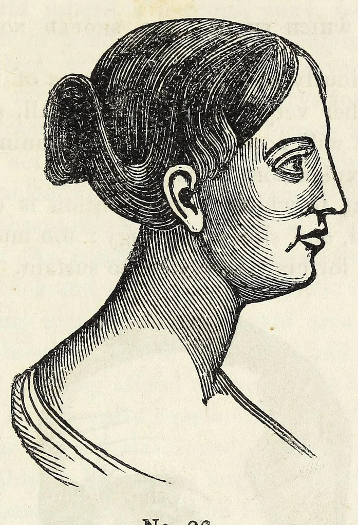 An illustration from Marriage : its history and ceremonies : with a phrenological and physiological exposition of the functions and qualifications for happy marriages, 1847, leaf 217