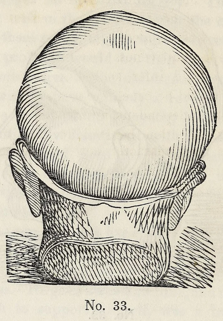 An illustration from Marriage : its history and ceremonies : with a phrenological and physiological exposition of the functions and qualifications for happy marriages, 1847, leaf 224