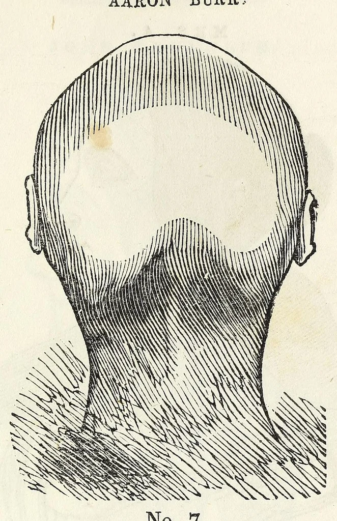 An illustration from Marriage : its history and ceremonies : with a phrenological and physiological exposition of the functions and qualifications for happy marriages, 1847, leaf 91