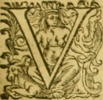 An illustration from Martini Antonij Delrij ex Societate Jesu Syntagma tragoediæ Latinæ : in tres partes distinctum, 1619, leaf 1002
