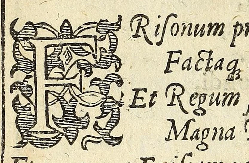 An illustration from Martini Hamconii Frisia; seu, De viris rebusque Frisiae illustribus libri duo. Opus ab authore recognitum, auctum, & imaginibus regum, potestatum, ac principum exornatum. Adiecti sunt pontifices Frisiorum ethnici, seu praefecti druydum: episcopi ultraiectini: comites Hollandiae & Zelandiae: diplomataque, & monumenta aliquot pontificum, caesarum, ac aliorum heroum, virtutem Frisiorum declarantia, 1620, leaf 36