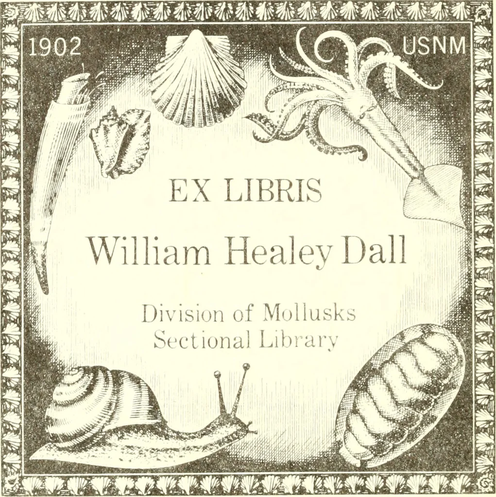An illustration from Martini Lister e Societate Regia Londini Historiae animalium Angliae tres tractatus : unus de araneis : alter de cochleis tum terrestribus tum fluviatilibus : tertius de cochleis marinis : quibus adjectus est quartus de lapidibus ejusdem insulae ad cochlearum quandam imaginem figuratis : memoriae & rationi, 1678, leaf 1