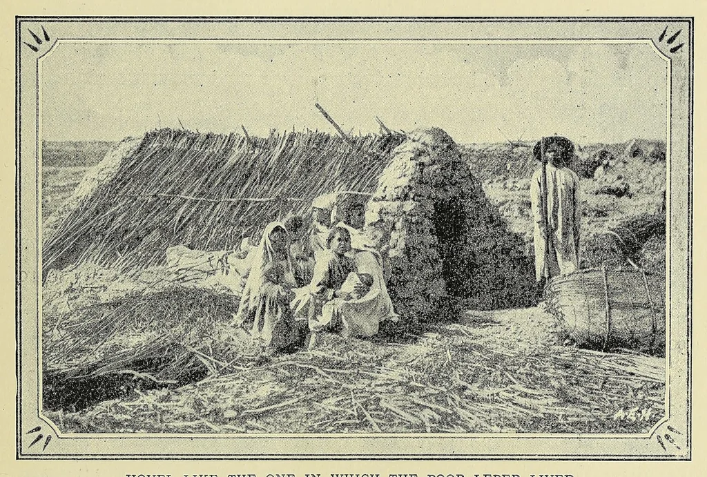 An illustration from The martyrs' isle, or Madagascar : the country, the people, and the missions, 1909, leaf 117