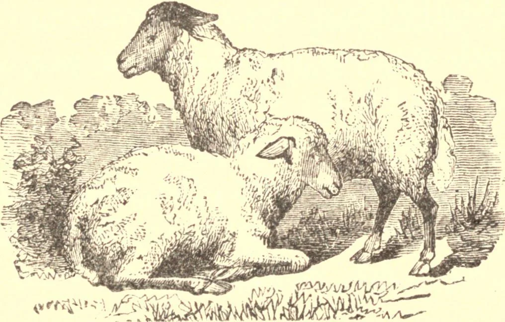 An illustration from The marvel of nations. Our country: its past, present, and future, and what the Scriptures say of it, 1887, leaf 138