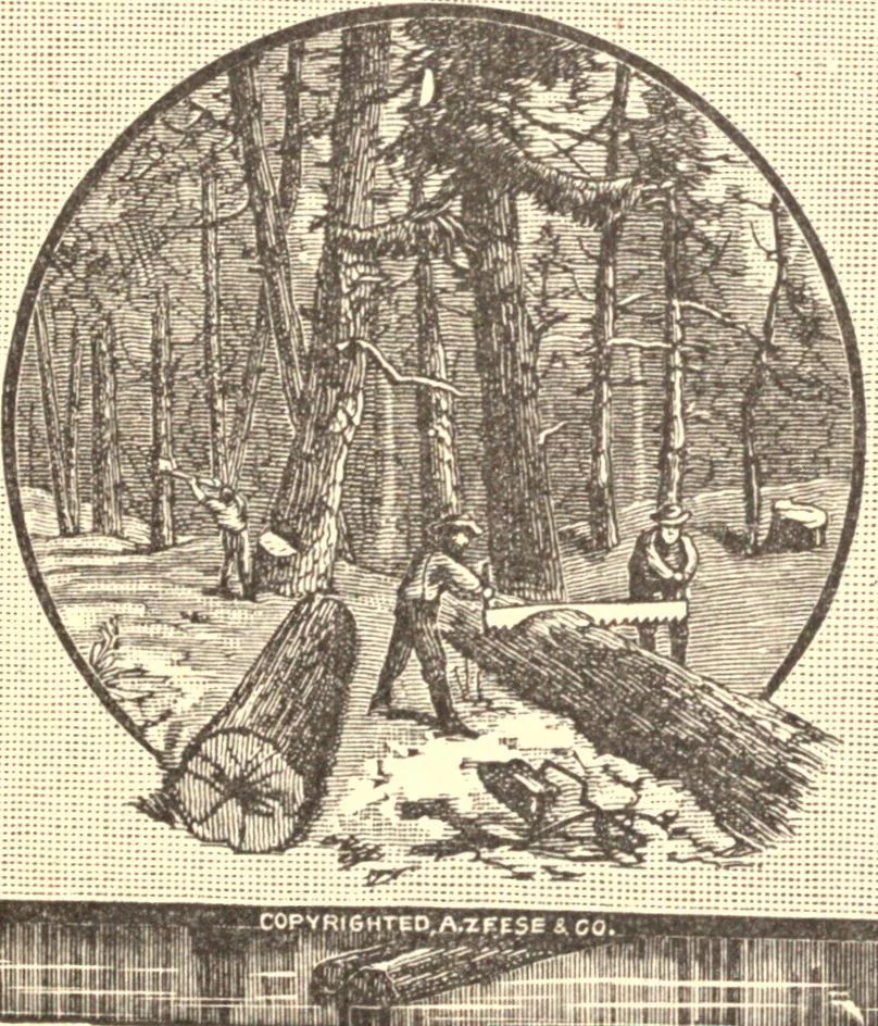 An illustration from The marvel of nations. Our country: its past, present, and future, and what the Scriptures say of it, 1887, leaf 58