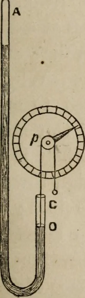 An illustration from Marvelous works of nature and art : together with useful and interesting information for all, with plates of illustration, 1873, leaf 198