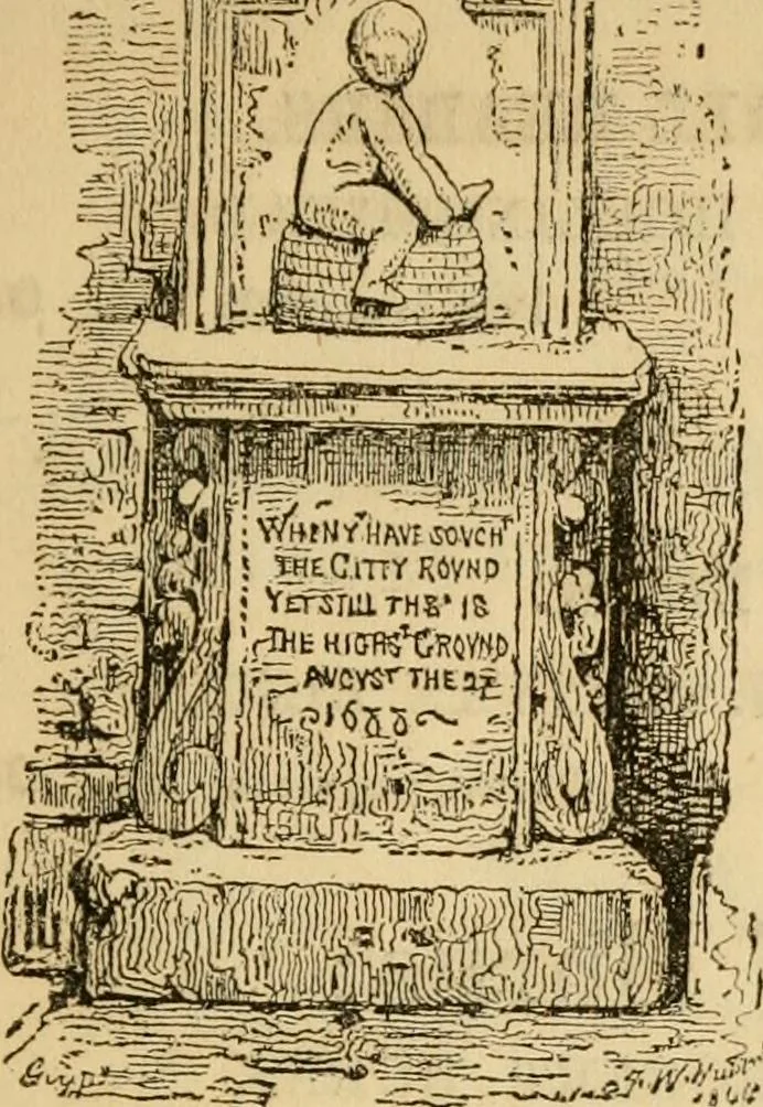 An illustration from Marvels of pond-life : or, A year's microscopic recreations among the polyps, infusoria, rotifers, water-bears, and polyzoa, 1861, leaf 240