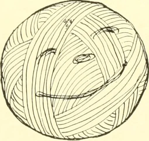 An illustration from The Mary Frances knitting and crocheting book;, 1918, leaf 134