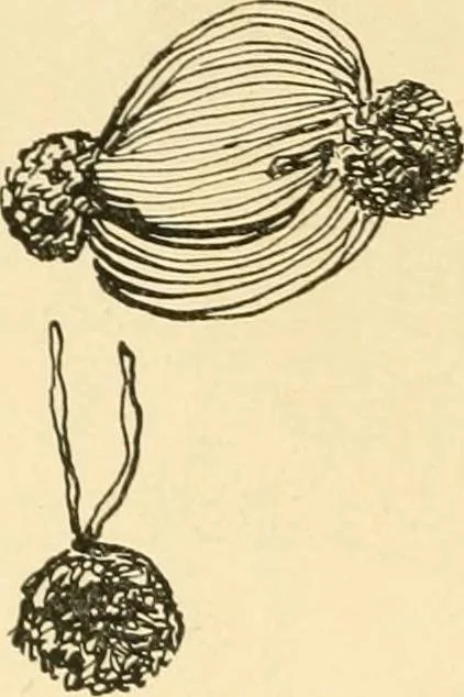 An illustration from The Mary Frances knitting and crocheting book;, 1918, leaf 15
