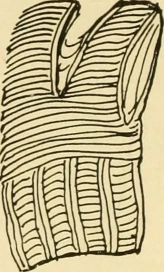 An illustration from The Mary Frances knitting and crocheting book;, 1918, leaf 16