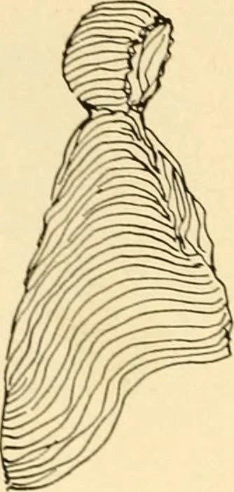 An illustration from The Mary Frances knitting and crocheting book;, 1918, leaf 17
