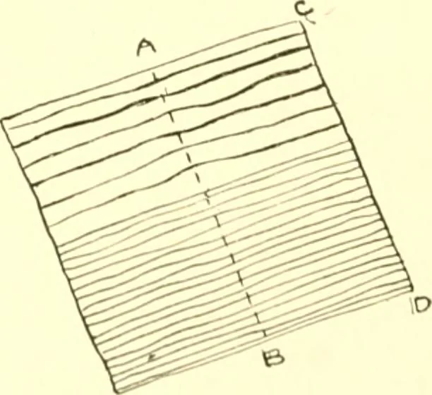 An illustration from The Mary Frances knitting and crocheting book;, 1918, leaf 205