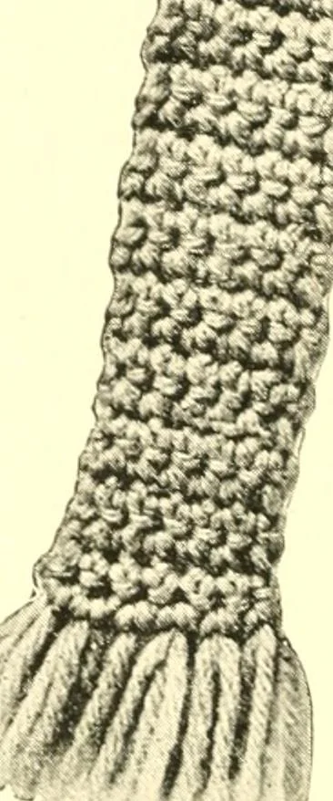 An illustration from The Mary Frances knitting and crocheting book;, 1918, leaf 81