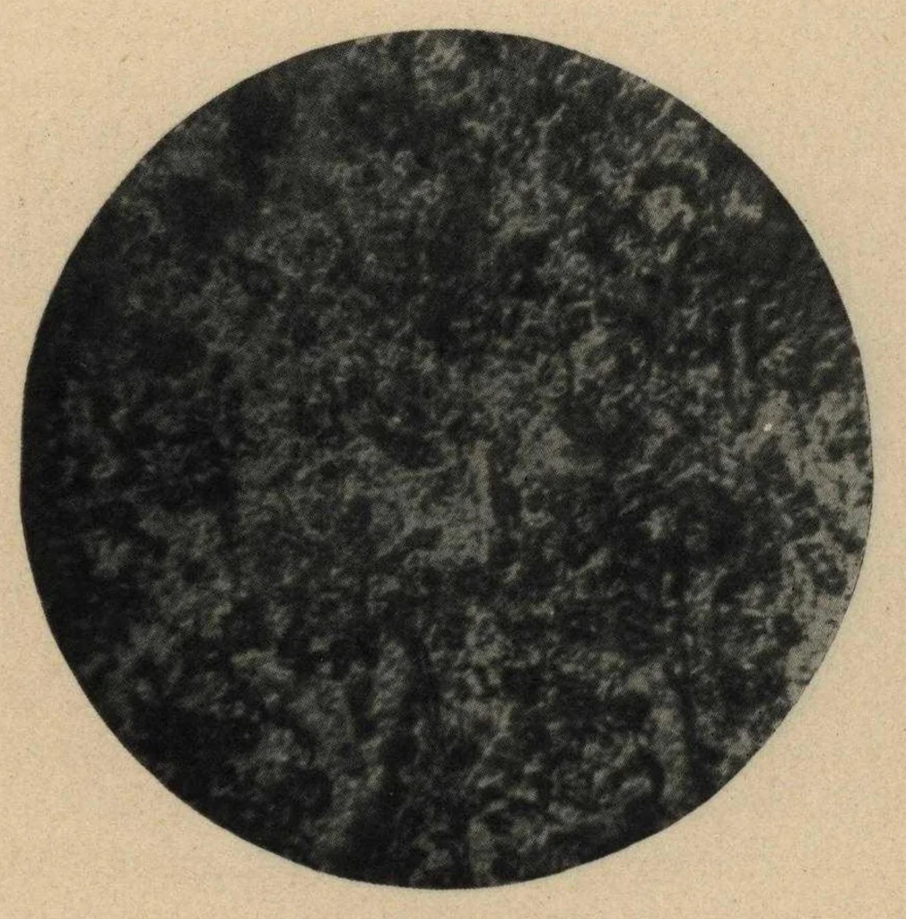 An illustration from The Cunningham Paint book : a concise treatise and reference book for paint users, containing practical information on the composition, properties, and uses of paint in general, and of Cunningham Protective Paint in particular, 1912, leaf 48