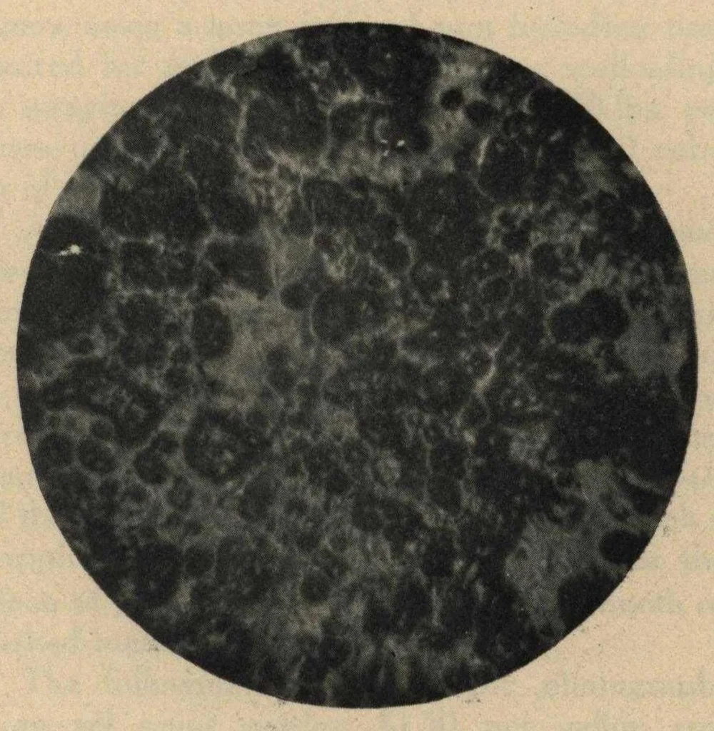 An illustration from The Cunningham Paint book : a concise treatise and reference book for paint users, containing practical information on the composition, properties, and uses of paint in general, and of Cunningham Protective Paint in particular, 1912, leaf 49