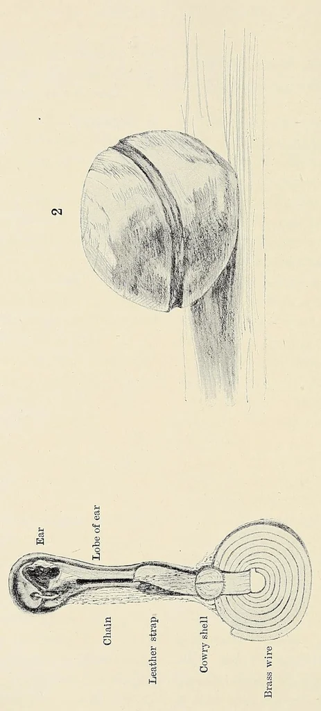 An illustration from The Masai : their language and folklore, 1905, leaf 340
