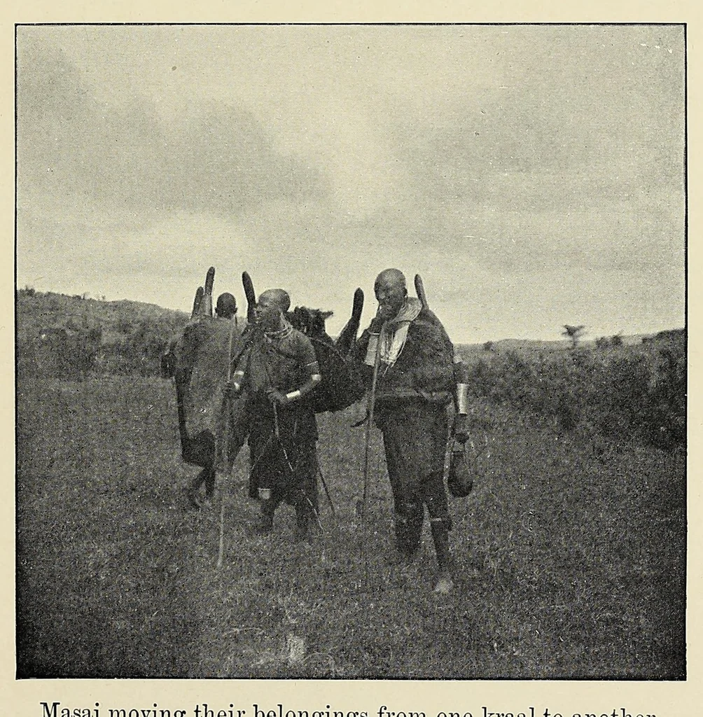 An illustration from The Masai : their language and folklore, 1905, leaf 387