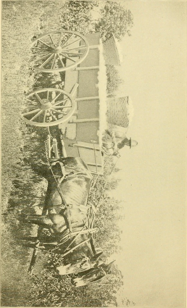 An illustration from The Mason Machine Works, Taunton, Massachusetts, U.S.A., inventors and builders of cotton machinery : Founded 1842 ; Incorporated 1873 ; [Catalogue], 1898, leaf 266
