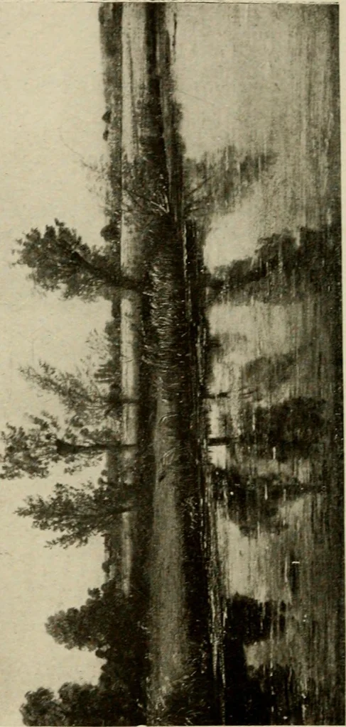 An illustration from The masterpieces of Constable (1776-1837). Sixty reproductions of photographs from the original paintings, affording examples of the different characteristics of the artist's work, 1910, leaf 27