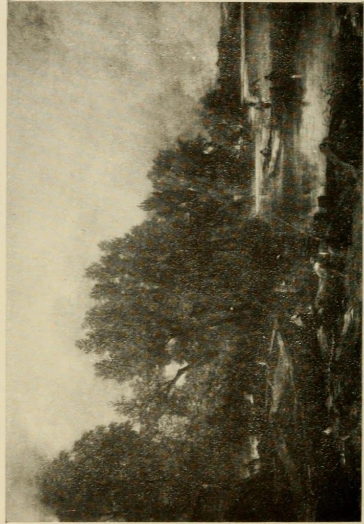 An illustration from The masterpieces of Constable (1776-1837). Sixty reproductions of photographs from the original paintings, affording examples of the different characteristics of the artist's work, 1910, leaf 29