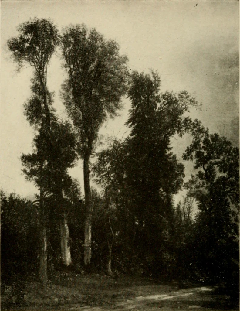 An illustration from The masterpieces of Constable (1776-1837). Sixty reproductions of photographs from the original paintings, affording examples of the different characteristics of the artist's work, 1910, leaf 33