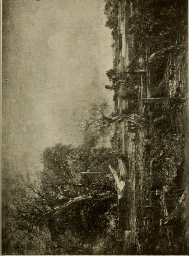An illustration from The masterpieces of Constable (1776-1837). Sixty reproductions of photographs from the original paintings, affording examples of the different characteristics of the artist's work, 1910, leaf 48
