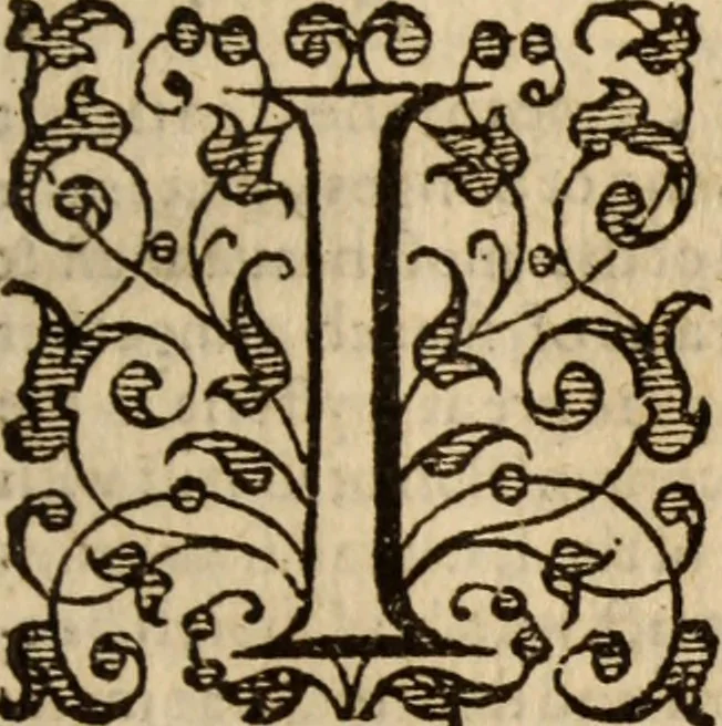 An illustration from Master Bezaes sermons upon the three first chapters of the Canticle of Canticles : wherein are handled the chiefest points of religion controversed and debated betweene us and the adversarie at this day, especially tovching the trve Iesvs Christ and the trve chvrch, and the certaine & infallible marks both of the one and of the other, 1587, leaf 10