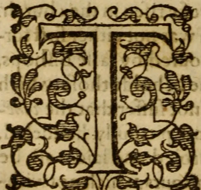 An illustration from Master Bezaes sermons upon the three first chapters of the Canticle of Canticles : wherein are handled the chiefest points of religion controversed and debated betweene us and the adversarie at this day, especially tovching the trve Iesvs Christ and the trve chvrch, and the certaine & infallible marks both of the one and of the other, 1587, leaf 117