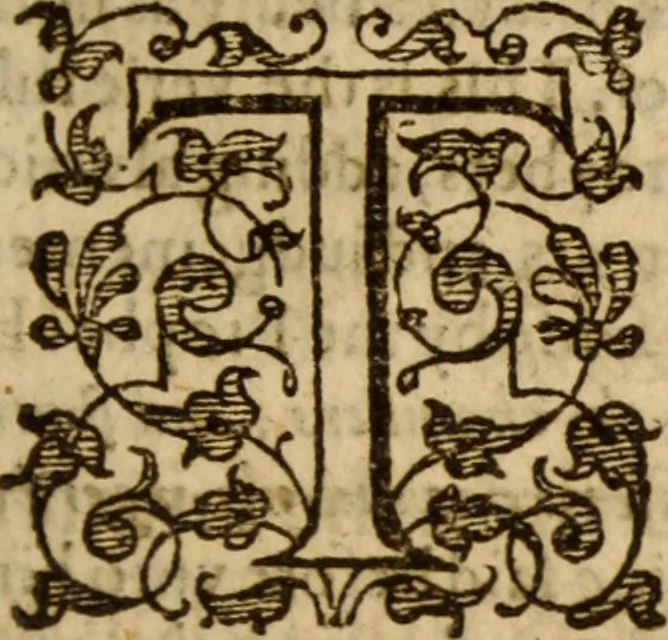 An illustration from Master Bezaes sermons upon the three first chapters of the Canticle of Canticles : wherein are handled the chiefest points of religion controversed and debated betweene us and the adversarie at this day, especially tovching the trve Iesvs Christ and the trve chvrch, and the certaine & infallible marks both of the one and of the other, 1587, leaf 160