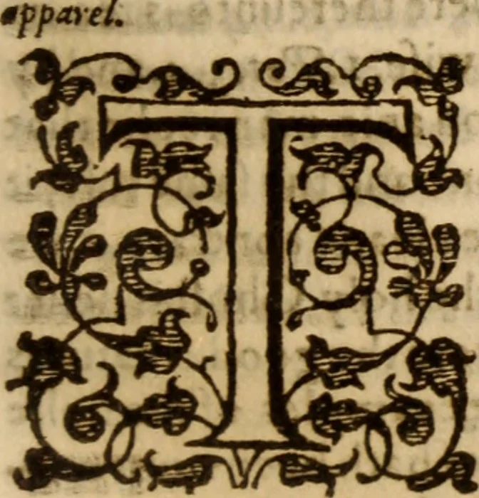 An illustration from Master Bezaes sermons upon the three first chapters of the Canticle of Canticles : wherein are handled the chiefest points of religion controversed and debated betweene us and the adversarie at this day, especially tovching the trve Iesvs Christ and the trve chvrch, and the certaine & infallible marks both of the one and of the other, 1587, leaf 188