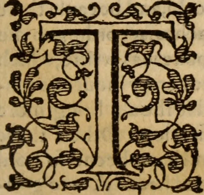 An illustration from Master Bezaes sermons upon the three first chapters of the Canticle of Canticles : wherein are handled the chiefest points of religion controversed and debated betweene us and the adversarie at this day, especially tovching the trve Iesvs Christ and the trve chvrch, and the certaine & infallible marks both of the one and of the other, 1587, leaf 20