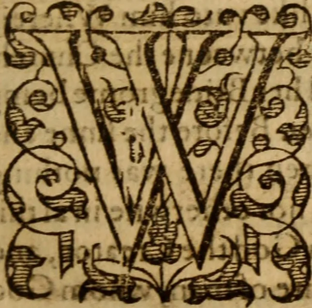 An illustration from Master Bezaes sermons upon the three first chapters of the Canticle of Canticles : wherein are handled the chiefest points of religion controversed and debated betweene us and the adversarie at this day, especially tovching the trve Iesvs Christ and the trve chvrch, and the certaine & infallible marks both of the one and of the other, 1587, leaf 234