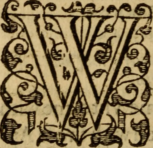 An illustration from Master Bezaes sermons upon the three first chapters of the Canticle of Canticles : wherein are handled the chiefest points of religion controversed and debated betweene us and the adversarie at this day, especially tovching the trve Iesvs Christ and the trve chvrch, and the certaine & infallible marks both of the one and of the other, 1587, leaf 247
