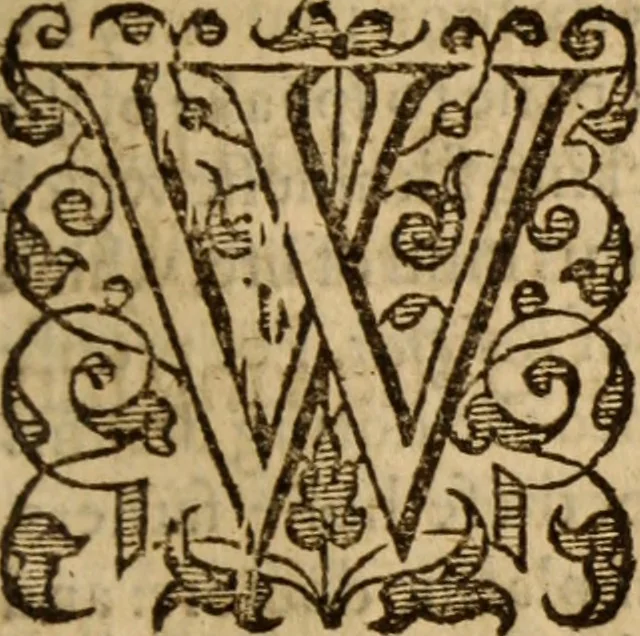 An illustration from Master Bezaes sermons upon the three first chapters of the Canticle of Canticles : wherein are handled the chiefest points of religion controversed and debated betweene us and the adversarie at this day, especially tovching the trve Iesvs Christ and the trve chvrch, and the certaine & infallible marks both of the one and of the other, 1587, leaf 260