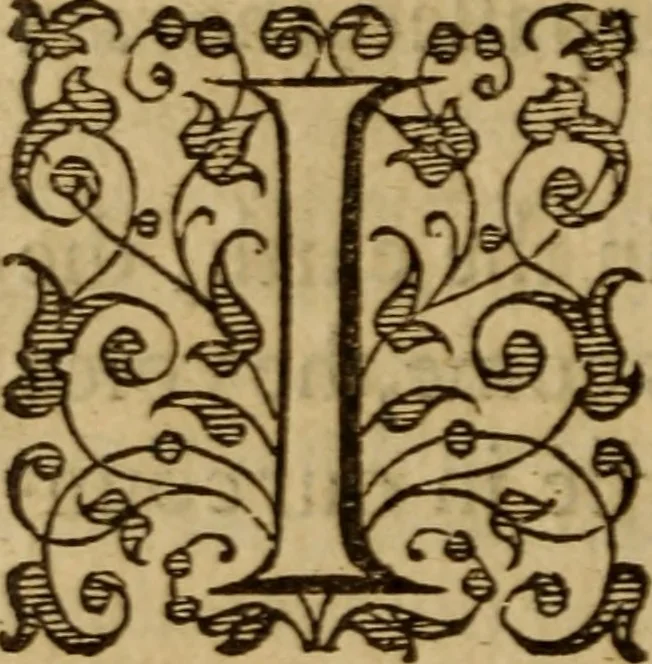 An illustration from Master Bezaes sermons upon the three first chapters of the Canticle of Canticles : wherein are handled the chiefest points of religion controversed and debated betweene us and the adversarie at this day, especially tovching the trve Iesvs Christ and the trve chvrch, and the certaine & infallible marks both of the one and of the other, 1587, leaf 277