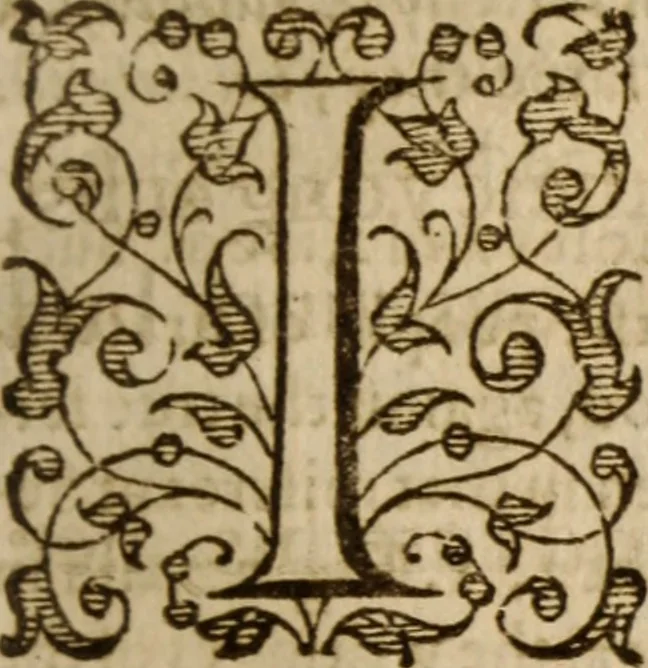 An illustration from Master Bezaes sermons upon the three first chapters of the Canticle of Canticles : wherein are handled the chiefest points of religion controversed and debated betweene us and the adversarie at this day, especially tovching the trve Iesvs Christ and the trve chvrch, and the certaine & infallible marks both of the one and of the other, 1587, leaf 306
