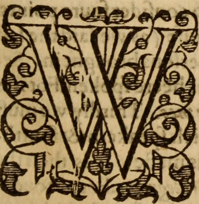 An illustration from Master Bezaes sermons upon the three first chapters of the Canticle of Canticles : wherein are handled the chiefest points of religion controversed and debated betweene us and the adversarie at this day, especially tovching the trve Iesvs Christ and the trve chvrch, and the certaine & infallible marks both of the one and of the other, 1587, leaf 32