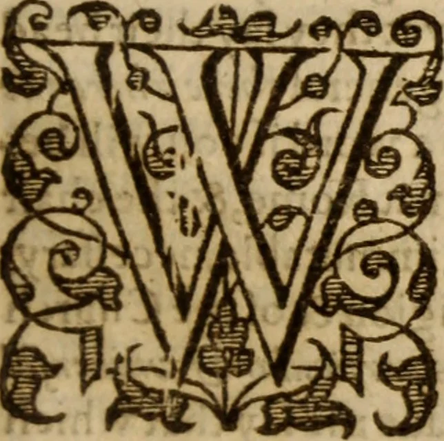 An illustration from Master Bezaes sermons upon the three first chapters of the Canticle of Canticles : wherein are handled the chiefest points of religion controversed and debated betweene us and the adversarie at this day, especially tovching the trve Iesvs Christ and the trve chvrch, and the certaine & infallible marks both of the one and of the other, 1587, leaf 324